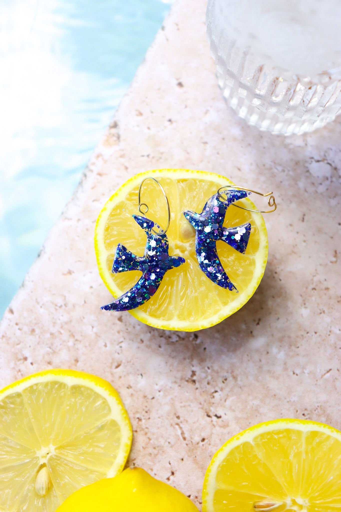 Boucles d'oreilles Oiseaux Notte